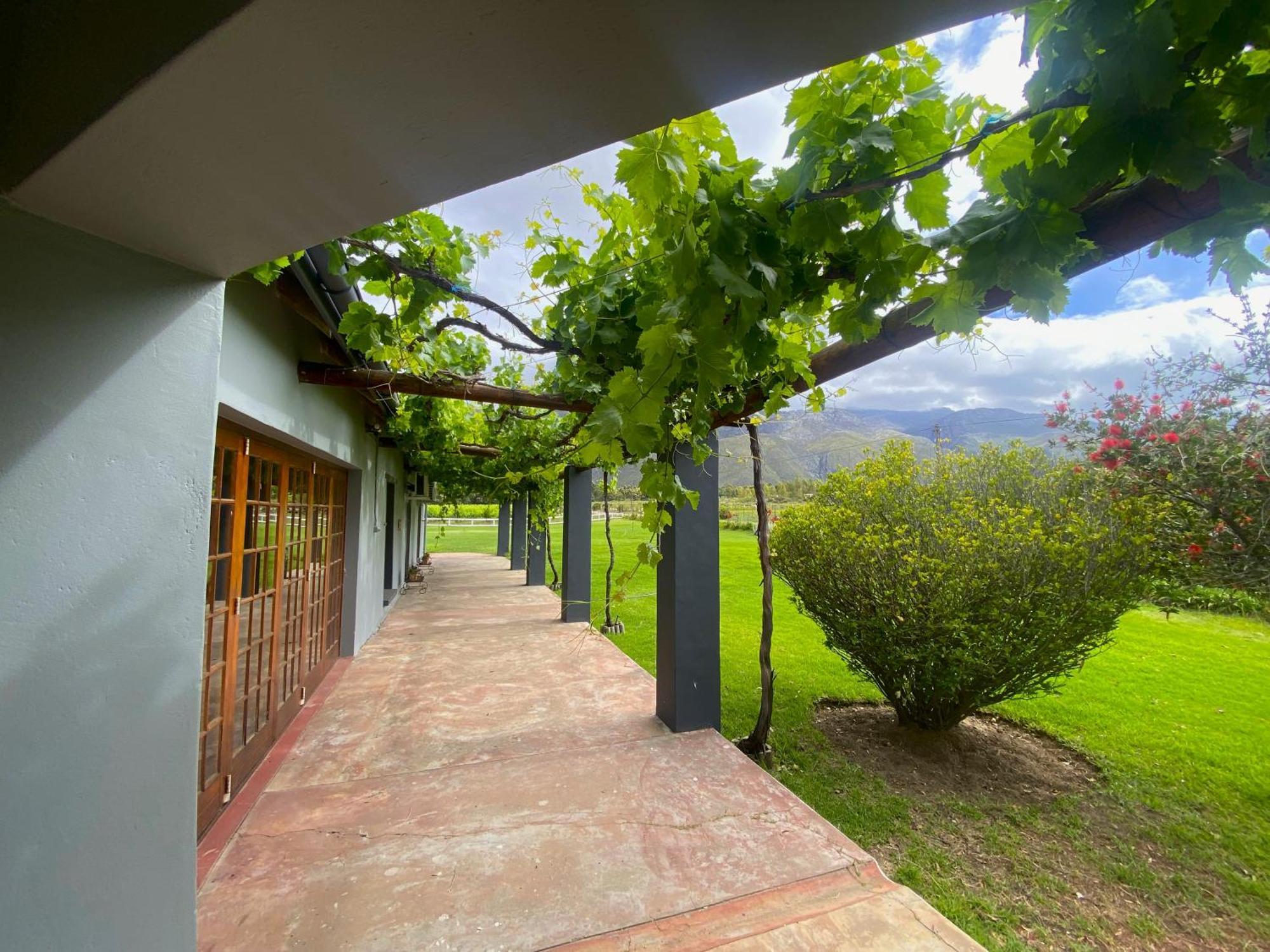Oaksrest Vineyards Guest Farm Hotel ลาดิสมิธ ภายนอก รูปภาพ